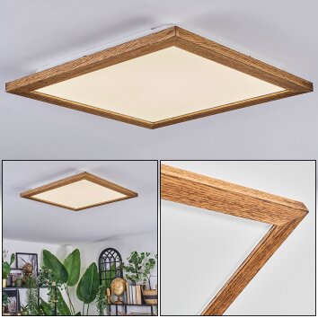 Raimea Plafonnier, Panel LED Écru, Blanc, 1 lumière
