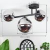 Chehalis Plafonnier, Boule lumineuse Chrome, Fumé, 3 lumières
