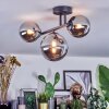 Chehalis Plafonnier, Boule lumineuse Chrome, Fumé, 3 lumières