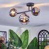 Chehalis Plafonnier, Boule lumineuse Chrome, Clair, Fumé, 3 lumières