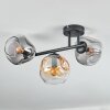 Ripoll Plafonnier, Boule lumineuse Ambre, Clair, Fumé, 3 lumières