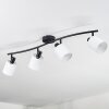 Fallhagen Plafonnier, Spot de plafond Noir, 4 lumières