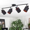 Fallhagen Plafonnier, Spot de plafond Noir, 4 lumières
