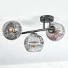 Ripoll Plafonnier, Boule lumineuse Chrome, Clair, Fumé, 3 lumières