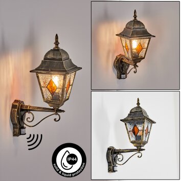 Chatelain Lampe murale d´extérieur, Applique murale Or, Noir, 1 lumière, Détecteur de mouvement
