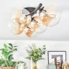 Chehalis Plafonnier, Boule lumineuse Ambre, 5 lumières