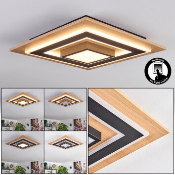 Falmir Plafonnier LED Couleur bois, Noir, 1 lumière