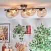 Chehalis Plafonnier, Boule lumineuse Ambre, Clair, 5 lumières