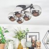 Chehalis Plafonnier, Boule lumineuse Chrome, Fumé, 5 lumières