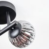 Chehalis Plafonnier, Boule lumineuse Ambre, Clair, Fumé, 3 lumières