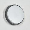 Duril Lampe murale d´extérieur, Applique murale LED Anthracite, 1 lumière