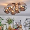Chehalis Plafonnier, Boule lumineuse Chrome, Fumé, 5 lumières