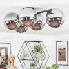 Chehalis Plafonnier, Boule lumineuse Chrome, Fumé, 5 lumières