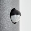 Felor Lampe murale d´extérieur, Luminaire Up & Down, Applique murale LED Anthracite, 2 lumières, Détecteur de mouvement