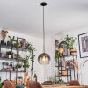 Koyoto Suspension, Boule lumineuse, Suspension Clair, Fumé, 1 lumière