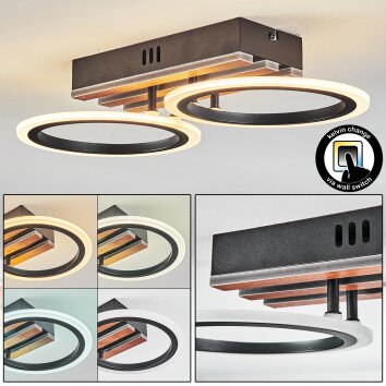 Galen Plafonnier LED Couleur bois, Noir, 1 lumière