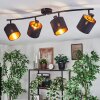 Alsen Plafonnier, Spot de plafond Noir, 4 lumières