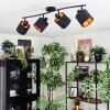 Alsen Plafonnier, Spot de plafond Noir, 4 lumières