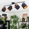 Alsen Plafonnier, Spot de plafond Noir, 4 lumières