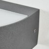 Duron Lampe murale d´extérieur, Luminaire Up & Down, Applique murale LED Anthracite, 1 lumière