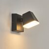 Fanel Lampe murale d´extérieur, Applique murale, Spot mural LED Anthracite, 1 lumière
