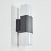 Felor Lampe murale d´extérieur, Luminaire Up & Down, Applique murale LED Anthracite, 2 lumières