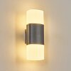 Felor Lampe murale d´extérieur, Luminaire Up & Down, Applique murale LED Anthracite, 2 lumières