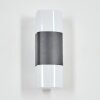Felor Lampe murale d´extérieur, Luminaire Up & Down, Applique murale LED Anthracite, 2 lumières