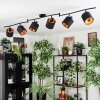 Alsen Plafonnier, Spot de plafond Noir, 6 lumières