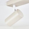 Javel Plafonnier Sable, 3 lumières