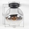 Ripoll Plafonnier, Boule lumineuse Chrome, Clair, Fumé, 1 lumière