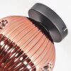 Ripoll Plafonnier, Boule lumineuse Cuivré, 1 lumière