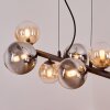 Chehalis Suspension, Boule lumineuse, Suspension Ambre, Clair, Fumé, 8 lumières