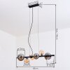 Chehalis Suspension, Boule lumineuse, Suspension Ambre, Clair, Fumé, 8 lumières