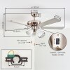 Stelo Plafonnier, Ventilateur de plafond lumineux Écru, Nickel mat, Argenté, 3 lumières