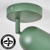 Horen Plafonnier, Spot de plafond Vert, 1 lumière