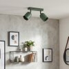 Horen Plafonnier, Spot de plafond Vert, 2 lumières
