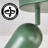 Horen Plafonnier, Spot de plafond Vert, 3 lumières