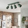 Horen Plafonnier, Spot de plafond Vert, 4 lumières
