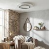 Lidor Plafonnier LED Gris, Blanc, 1 lumière