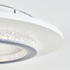 Lidor Plafonnier LED Gris, Blanc, 1 lumière