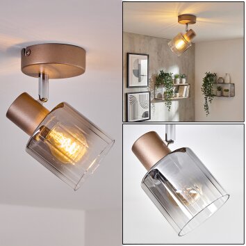 Casterk Plafonnier, Spot de plafond Brun, Chrome, 1 lumière