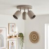 Horen Plafonnier, Spot de plafond Sable, 3 lumières