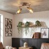 Casterk Plafonnier, Spot de plafond Brun, Chrome, 2 lumières