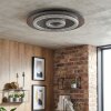 Lidor Plafonnier LED Anthracite, Gris, Noir, 1 lumière, Télécommandes