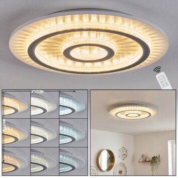 Lidor Plafonnier LED Gris, Blanc, 1 lumière, Télécommandes