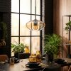 Mertola Suspension, Suspension Ambre, Clair, 1 lumière
