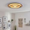 Lidor Plafonnier LED Or, Noir, 1 lumière, Télécommandes
