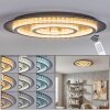 Lidor Plafonnier LED Anthracite, Gris, Noir, 1 lumière, Télécommandes