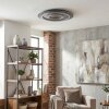 Lidor Plafonnier LED Anthracite, Gris, Noir, 1 lumière, Télécommandes